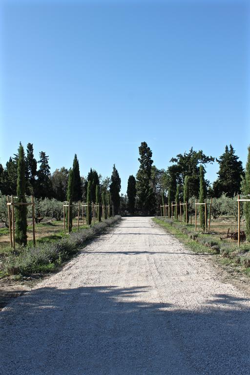 Domaine De Fontbelle Bed & Breakfast Graveson Luaran gambar